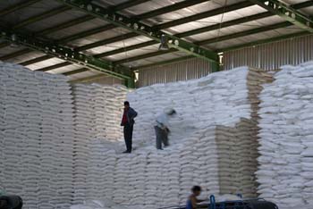 Amir Kabir Sugar Co021 (21)