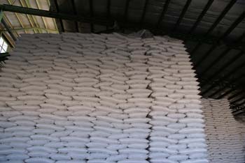 Amir Kabir Sugar Co021 (27)