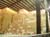 Shirin Sugar Co (2)