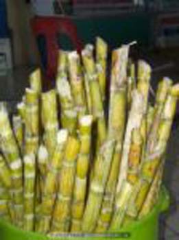 Granulated_Cane_Sugar