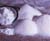 White_Brazilian_Refined_Cane_Crystal_Sugar