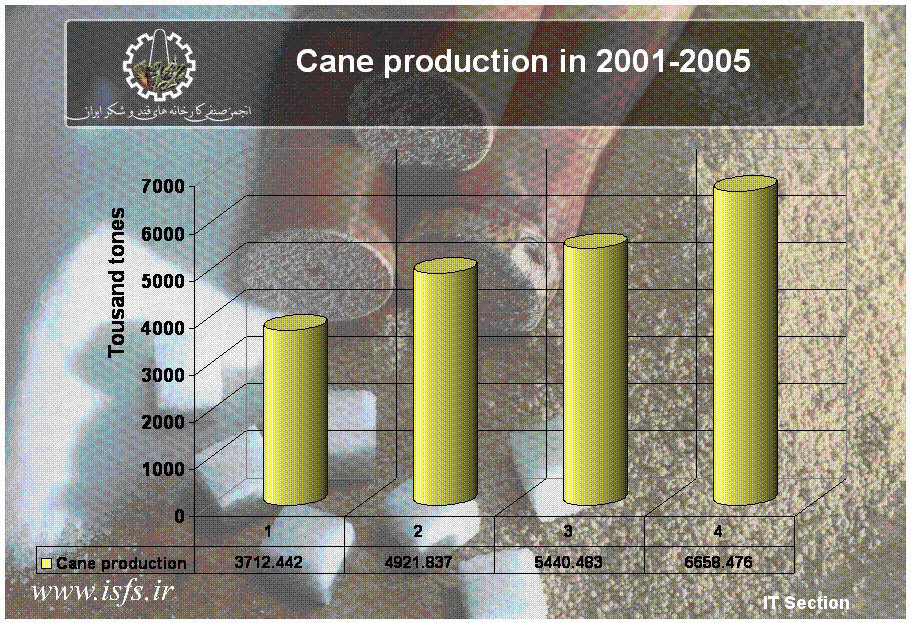 Cane production in 2001-2005